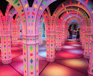 Amazing Mirror Maze