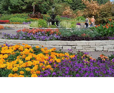 Minnesota Landscape Arboretum