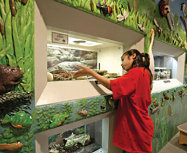 Richardson Nature Center