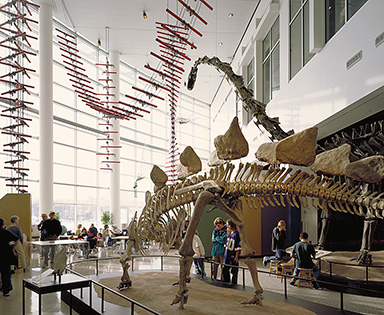 Science Museum of Minnesota